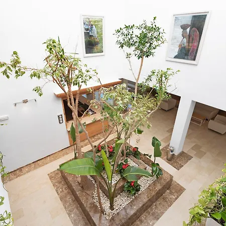 Szálloda Thb Guya Playa 4*
